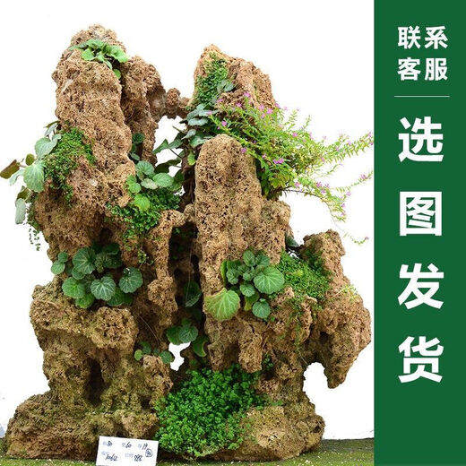 Shiguang Station absorbent stone natural stone bonsai fish tank courtyard large fish pond landscaping absorbent stone original stone water stone bonsai 50-59cm absorbent stone blue and white porcelain basin