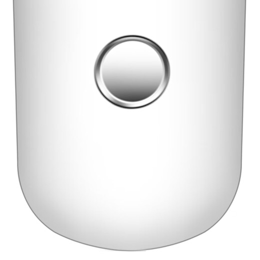 Anshang Nano Spray Перезаряжаемый прибор для увлажнения Увлажняющий отпариватель для лица и глаз Косметический прибор с подогревом Увлажнитель Измеримая функция кожи Ручной перезаряжаемый отпариватель для лица Водяной свет Инструмент для инъекций кислорода Перезаряжаемый 30 мл Нано-спрей Белый