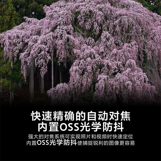 Sony (SONY) G Master full-frame mirrorless lens FE70-200 F2.8 GM OSS II second generation official standard 12-issue interest-free