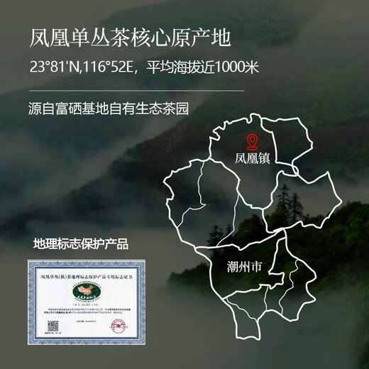 顶青湖乌岽单丛茶蜜兰香 潮州凤凰单枞茶高山老枞碳焙特级乌龙茶50克
