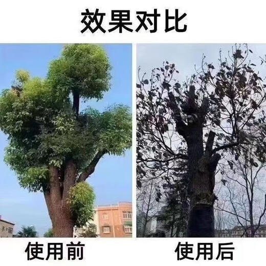 Cyclazinone tree killing powder, dead tree removal, big tree root rot agent, strong killing big tree special medicine, gardening fertilizer, dead tree, 1 barrel special type