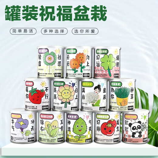 Children's canned plants magical desktop mini green plants creative small potted strawberry sunflower seeds blooming random 4 cans