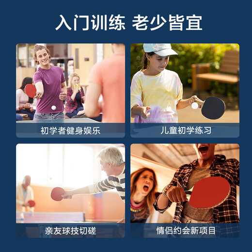 京东京造 雨燕一星乒乓球拍双拍2只装横直对拍训练套装双面反胶1星 横直板