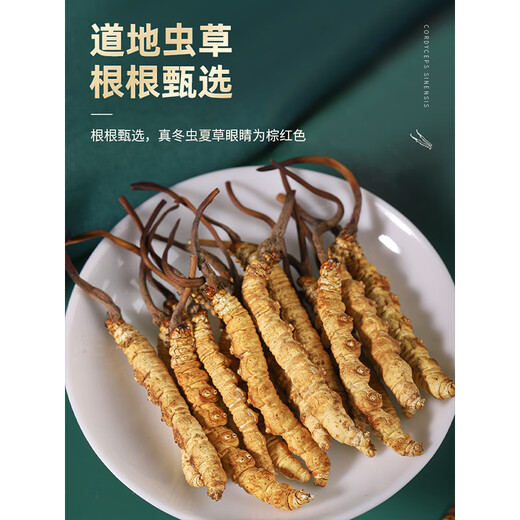 
Juhetai First Cordyceps gift box New Year's goods for holiday gifts for family members, elders, and elderly health nourishing nutritional supplements Xiangyun style - 5 sticks/gram [20 grams pack 100 sticks]