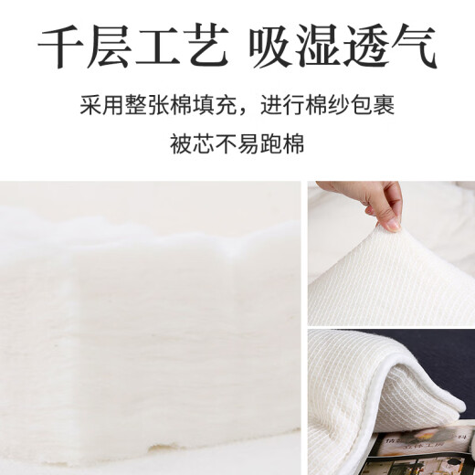 Rika silk quilt core 2*2.3m double 6Jin [Jin equals 0.5kg] autumn and winter warm cotton quilt 100% cotton quilt core cotton tire quilt quilt cotton quilt winter
