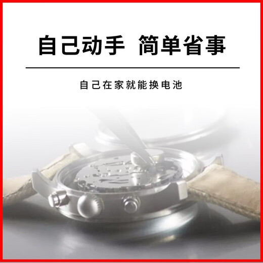 松下（Panasonic） 卡西欧原装男女手表电池GSHOCK系列小泥王黑金纽扣石英手表2粒带工具 1659  1545  1289  1199