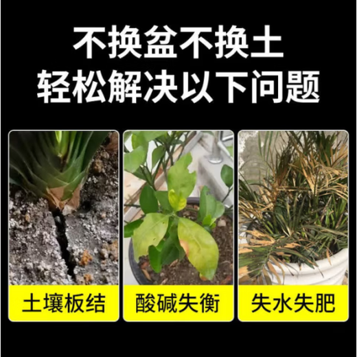 Qiante soil activator for flower green plants, succulent fruit trees and flowers, general soil activator 100g 6 bottles