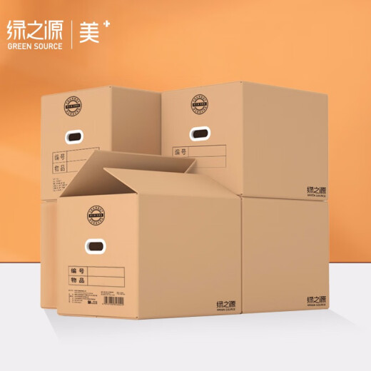 Green Source large moving box with buckles 120L (pack of 4) 60*40*50 thickened and hardened moving carton packing express box organizing storage box