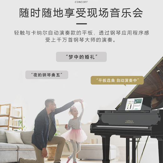 卡纳尔（CARNALL）全新家用三角钢琴成人专业演奏实木真钢琴德国进口配置高端教学用 GC5 高端黑 [德国三复振式音源]