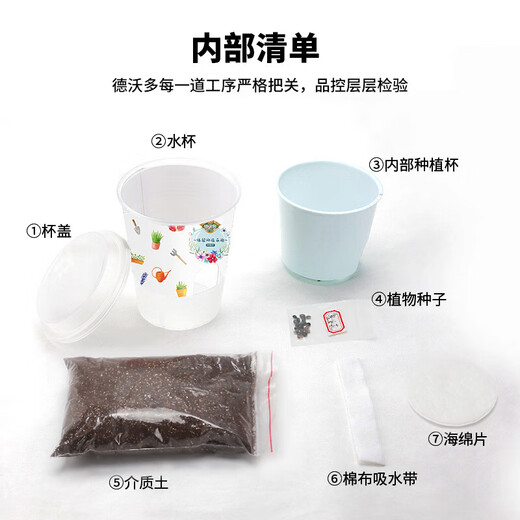 Devodo Cucumber Seed DIY Children's Fun Planting Potted Set Flower Green Plant Potted Vegetable Observation Planting Cup