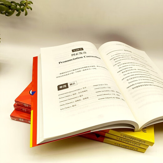 Praktisches gesprochenes Englisch, um sich im beruflichen Bereich weiterzuentwickeln