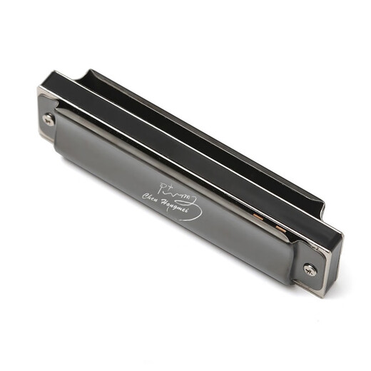 Swan (SWAN) 10-hole blues paddy scale harmonica for children and adults professional playing harmonica black
