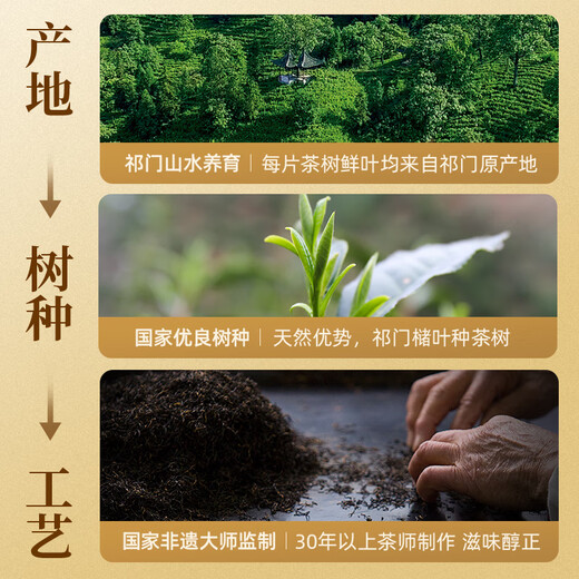 Tianzhi Black Tea Qimen Black Tea Qihong Combination Package pour cadeaux pour les aînés pendant les festivals, Big Jar 672G Sac-cadeau