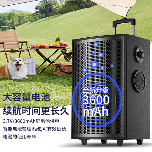 Sony Ericsson (soaiy) 8-inch square dance audio wooden high-power portable outdoor heavy bass Bluetooth karaoke special high-volume 9-speaker mobile trolley speaker performance dual microphone SA-F85