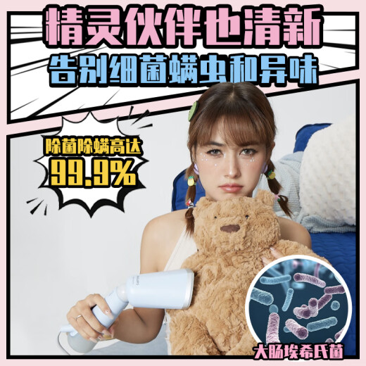 Philips (PHILIPS) [National Subsidy] Hanging Machine for Home Small Foldable Small Travel Artifact Powerful Supercharged Hanging Machine Xiaobai Magic Stick STH5010/70