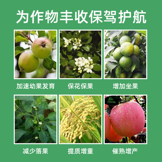 Guoguang Pesticide, Naphthalene Acetate, Plant Growth Regulator, Flower Preservation and Fruit Preservation Medicine, Prevent Fruit Drop, Fruit Tree Flower and Fruit Treasure, Fruit Setting 100ml (80 bottles in the box)