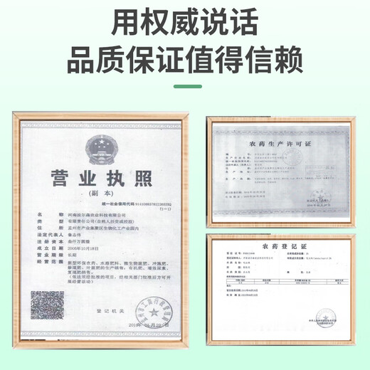 Plant easy imidacloprid insecticide granules for gardening potted orchids and succulent general soil insecticide and insect repellent small white medicine