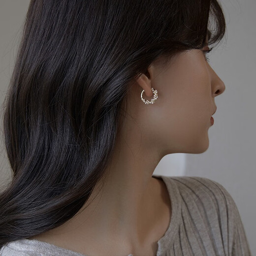 Idel Imitation Pearl Earrings High-end Earrings 2025 New Trendy Korean Temperament Internet Celebrity Circle Earrings Women's Earrings Imitation Pearl Earrings E2061