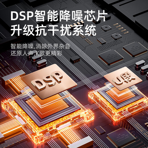 SANSUI wireless microphone, universal, professional-grade U-segment karaoke special conference host, live broadcast karaoke, outdoor square dance, handheld portable performance home ktv singing rechargeable microphone, flagship version of dual microphone, performance-level universal microphone, one to two, true U-segment wireless charging