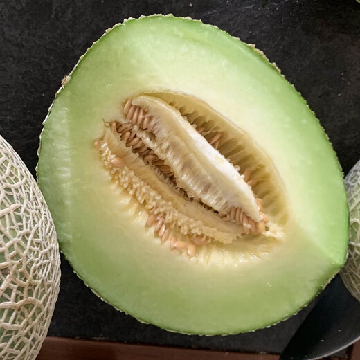 Zhongke Maohua Melon Fruit Seeds Zhongke Mi No. 6 Hami Melon Seeds thick-skinned melons originate from Xinjiang Reticulated Melon and are resistant to transportation. Zhong Ke Mi No. 6 Hami Melon Seeds 50 capsules
