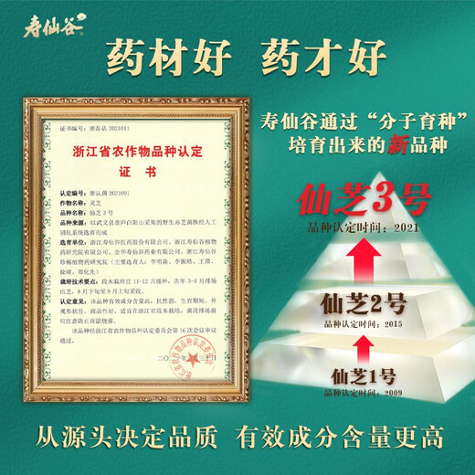 
Shouxiangu Xianzhi No. 3 Breaking Wall Ganoderma lucidum Spore Powder Tablets, Wall-removing patented immune enhancement health nourishing gift box, 6 pieces/bottle*10 bottles/box (one month amount)