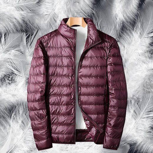 Woodpecker Lightweight Down Jacket Men's Short Winter Jacket Men's New Ultra-Light Casual Young and Middle-aged White Duck 16050 Black (Stand Collar) 2XL (160Jin Jin is equal to 0.5kg -180Jin Jin is equal to 0.5kg)