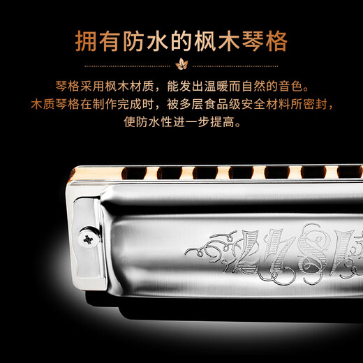 SEYDEL德国进口SEYDEL赛德 十孔10蓝调成人口琴 1847 CLASSIC 10孔LE调