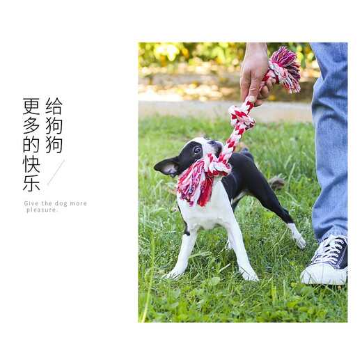 Hanhan Paradise Pet Dog Toy Cotton Rope Bite Resistant Interactive Training Screaming Chicken Dog Teething Supplies Interactive Set Supplies 5