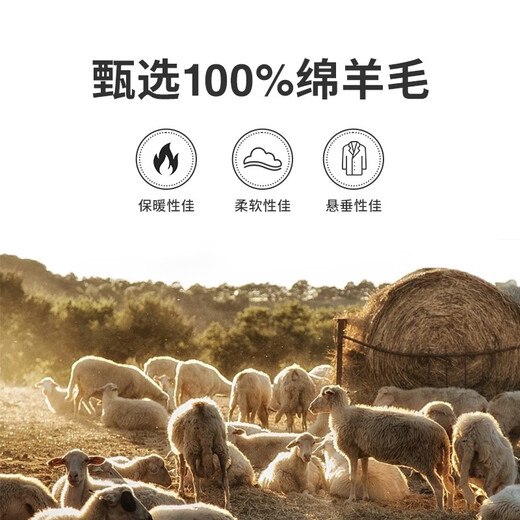 Navigare Italian small sailing pure wool jacket men's autumn and winter warm coat lapel fashion men's short woolen coat dark night black M /48