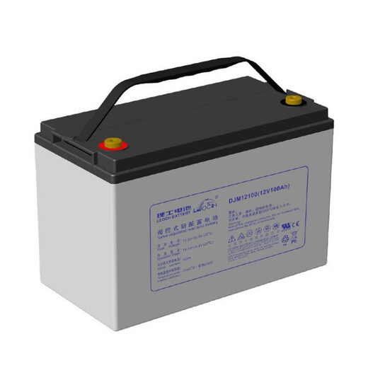 理士蓄电池12V18AH/24AH/38AH/65AH/100AH UPS电源直流屏通信储能电池 DJM12200S 12V200AH