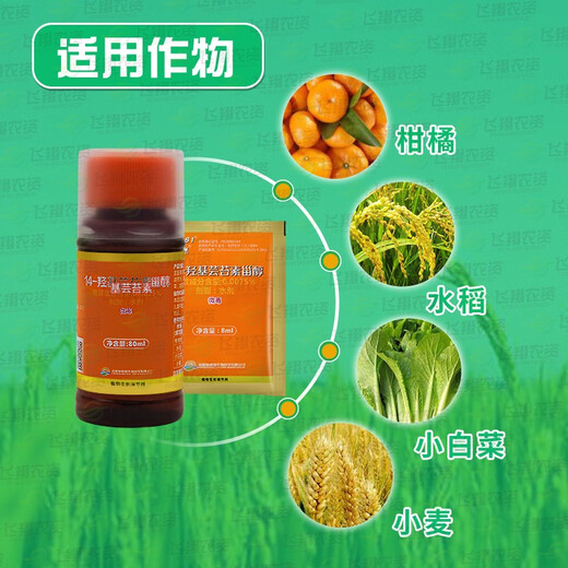 Shuofeng 481 Shuofeng 481 Flower Fruit Brassinolide Antidote for Flowers, Fruits and Vegetables Plant Growth Regulator 500ml