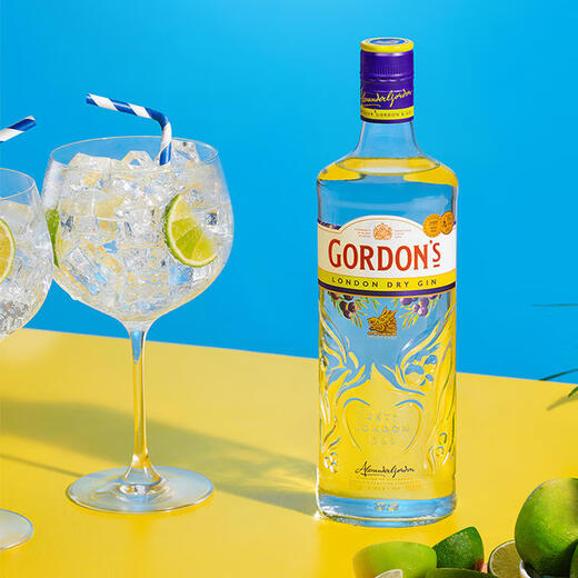 Gordon's Special Dry London Gin Gin Gin Wine Martini Gin and Tonic 700ml 700mL 1 bottle