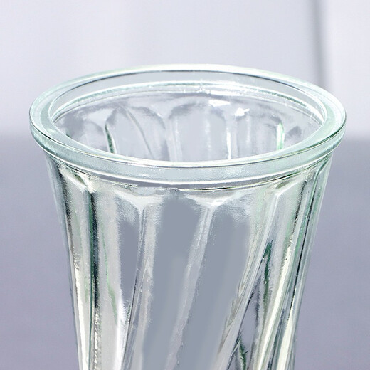 Extreme space vase glass rich bamboo large vase living room vase hydroponic container Nordic style decorative ornaments 29cm