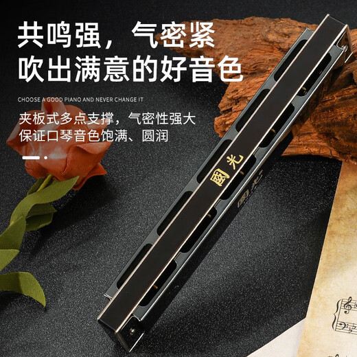 国光上海国光口琴28孔重音高级成人专业演奏级复音C调初学者入门乐器 28孔 C调 国之梦黑色重音+自学礼包