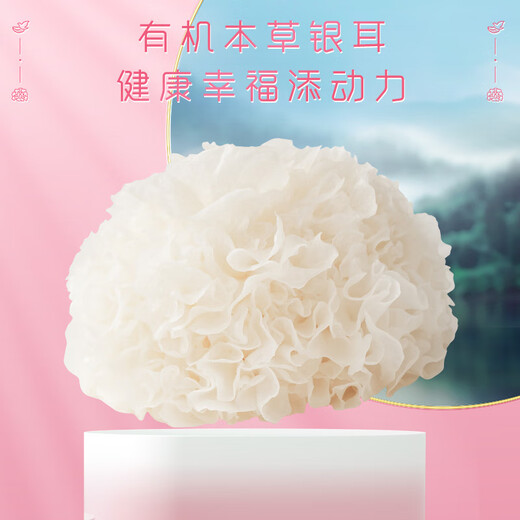 银小燕试用装系列有机本草银耳厚椰野米双胶羹牛奶桃胶燕窝羹燕窝银耳饮 玫瑰洛神花燕窝银耳饮90g