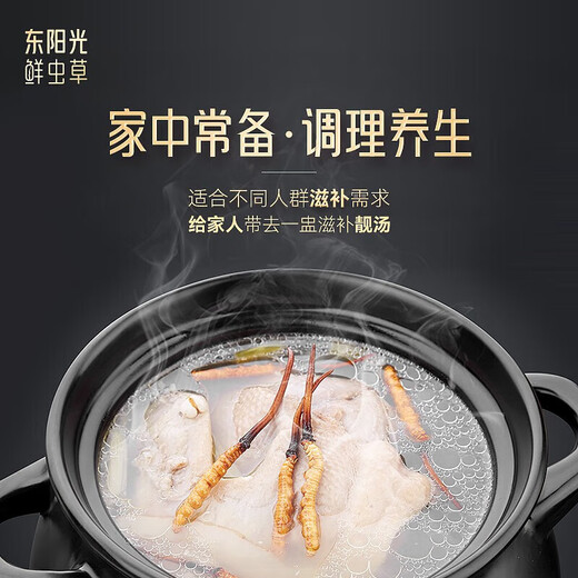 Dongyangguang orgánico Cordyceps sinensis 3-4 raíces/g Cordyceps secos nutritivos de regalo Cordyceps suplementos para padres y ancianos 4 raíces [paquete de experiencia exclusivo]