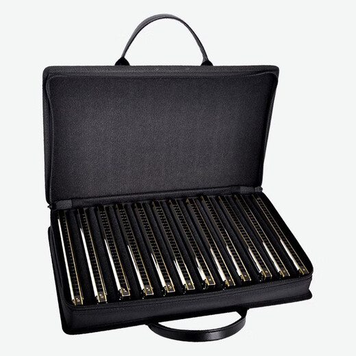 Tongbao (Tombo) 6624S Set 12-Tuning 7-Tuning Mundharmonika Advanced Adult Professional Performance Anfänger Selbststudie 6624S [High-End-Leistungsstufe] 12-Tuning