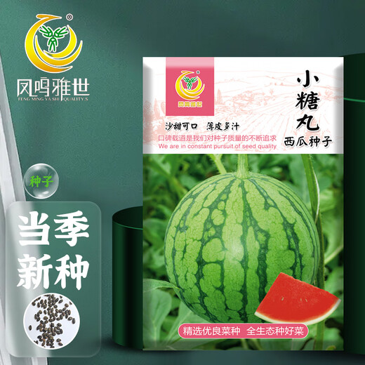 Fengming Yashi potted small watermelon seeds, early-maturing watermelon seeds, thin skin, few seeds, red flesh watermelon, small sugar pills, 10 seeds