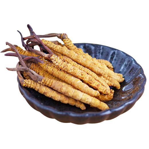 雄风道藏区雪域冬虫夏草 2根/克正宗虫草无断草礼盒装10根起拍