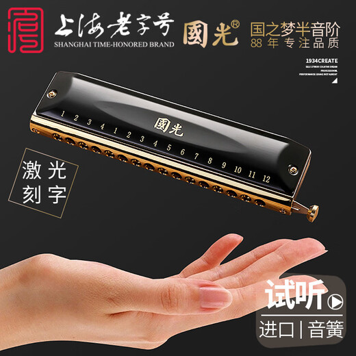 Guoguang Chromotic Harmonic 12-hole 48-tone C-tune 16-hole Advanced Professional Performance Beginners Adult Children Primary School Students 12-hole C-tune Guoguang Silver (Square-mouth Standard)