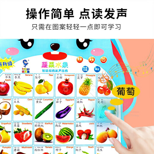 迪诺米宝宝启蒙有声挂图发声儿童早教语音识字卡中英文点读玩具 乐乐鱼-认识人物+电池+挂钩+螺