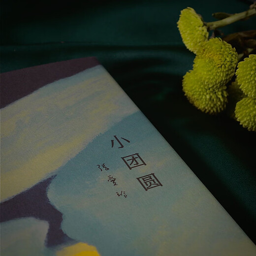 小团圆 小说