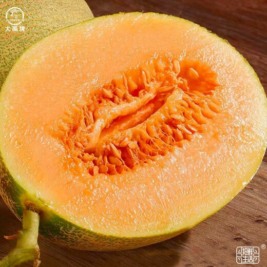 Dayu Xinjiang Hami melon seed seedlings mesh melon early maturing jade mushroom ice cream melon seeds southern Melon Prince No. 3 Hami melon seeds 30 capsules
