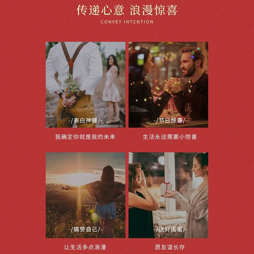 Ji Shizhe Ruby Pendant Rose Gold Necklace Inlaid with Diamonds Customized Clavicle Chain Birthday and Valentine's Day Gift for Wife 0.55 Carat 6 Points Diamond