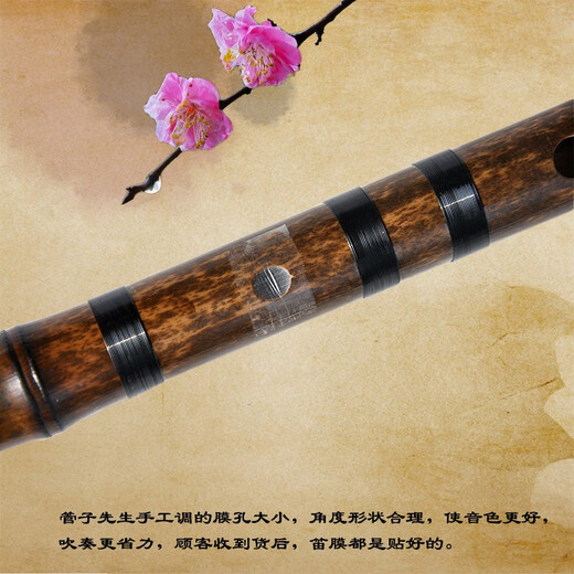 Mr. Guanzi Single Section Professionelle lila Bambusflöte kleines Flöteninstrument Horizontale Flöte erwachsene Kinder Jungen und Mädchen Anfänger Schäferhund Junge Flöte Ancient Style E Tune