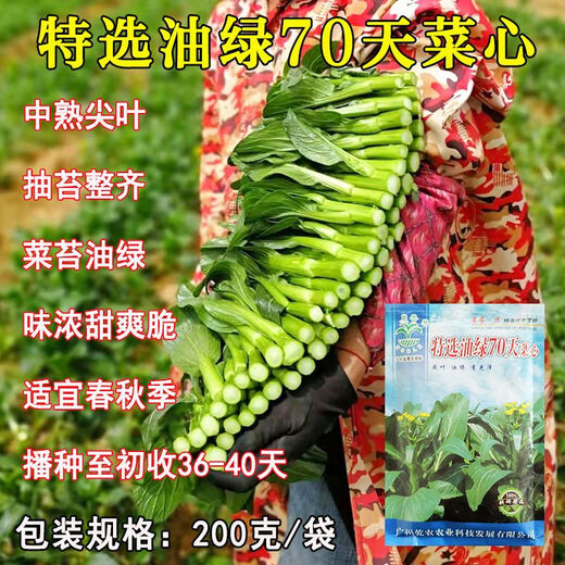 Guangzhou Qiannong Academy of Agricultural Sciences Youlu 702 cabbage heart vegetable seeds autumn winter spring high yield beet core seeds Youlu 70 days cabbage heart 200g medium mature pointed leaves 1 bag