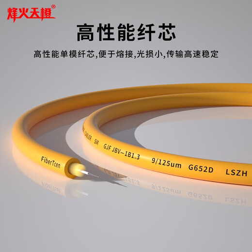 Fenghuo Tiancheng Telecom grade fiber jumper single mode single core 3.0 fiber extension cable SC/FC/ST/LC optical fiber transceiver optical terminal machine welded tail fiber Telecom grade SC-FC (single mode single core) 3 meters