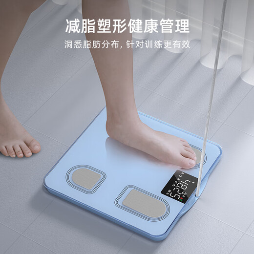 Yunkangbao Échelle de graisse corporelle à huit électrodes Sécilière Corps Fat Scale de pesée à la maison Échelle électronique de gymnase Professional Corps Fat Cate Mesure Instrument Sky Blue Envoyer le cadeau de la fête des pères