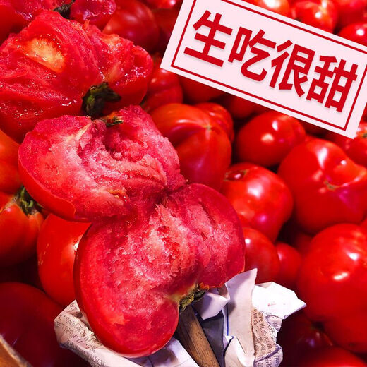 Provence Tomato Seeds Tomato Seeds Imported from the Netherlands, a good-tasting, high-yield sowing variety for all seasons Provence Tomato Seeds (new product) 500 capsules