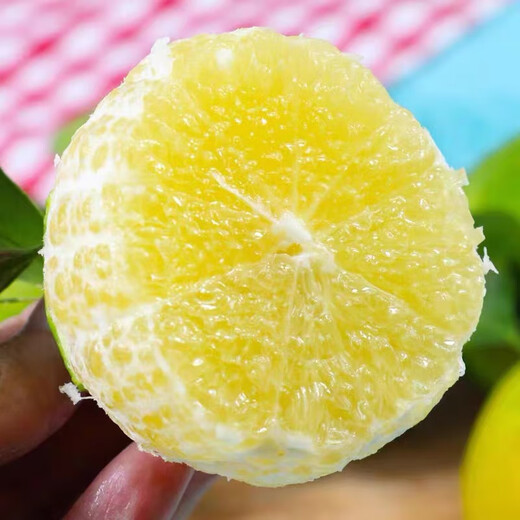 Yimeng Fruits and Vegetables Authentic Guangxi Emperor Citrus Tribute Orange Tribute Fresh Fruit Seasonal Picked Fruit Mid-Autumn Festival Gift Box Gift 5Jin Jin is equal to 0.5kg Jutian Tribute Fruit丨60MM+ Net 4.5Jin Jin is equal to 0.5kg